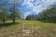 VENTA | LOTE 10 | PROSPERITY LANDS | ROLDAN